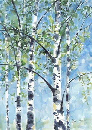 Framed Aspen Tree 2 Print