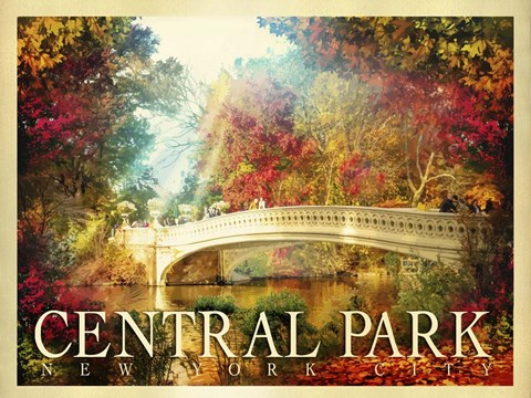 Framed Central Park 2 Print