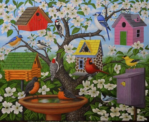 Framed Birds and Birdhouses Print