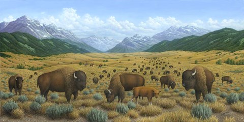 Framed Bison Trail Print