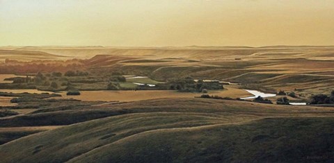 Framed Golden Evening Print