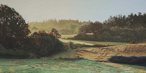 Framed Morning Light 2 Print