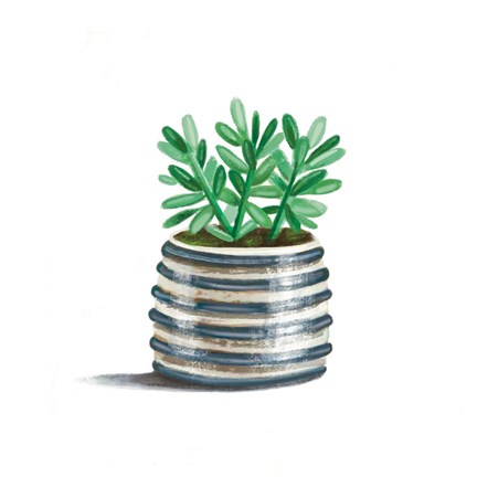 Framed Striped Succulent Print