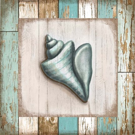 Framed Turquoise Seashell Print