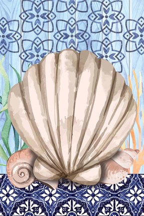 Framed Shell Print