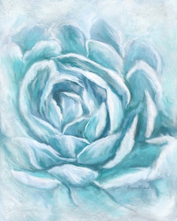 Framed Aqua Succulent II Print