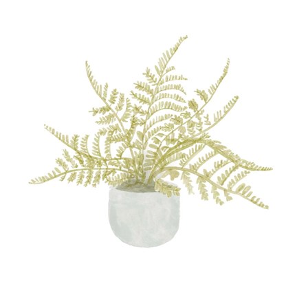 Framed Potted Fern I Print