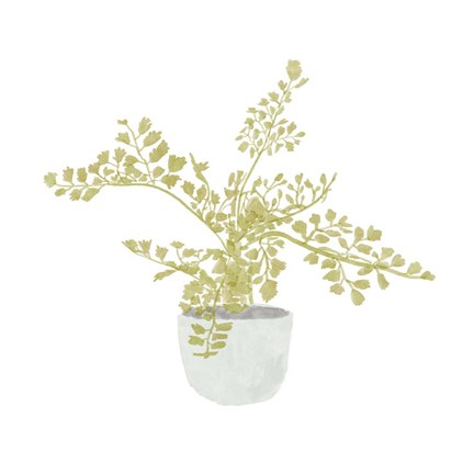 Framed Potted Fern III Print