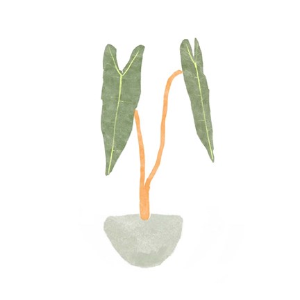 Framed Philodendron Billietiae I Print