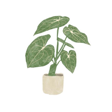 Framed Philodendron Gloriosum II Print