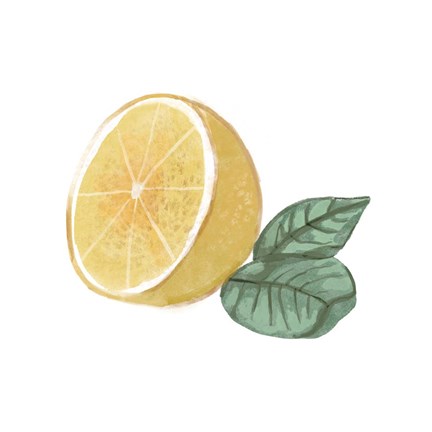 Framed Citrus Limon IV Print