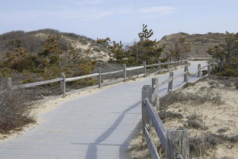 Framed High Road III Print