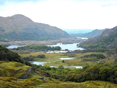 Framed Ladie&#39;s View Print