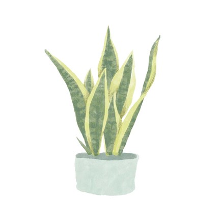 Framed Snake Plant III Print
