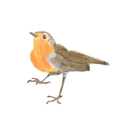 Framed Songbird II Print