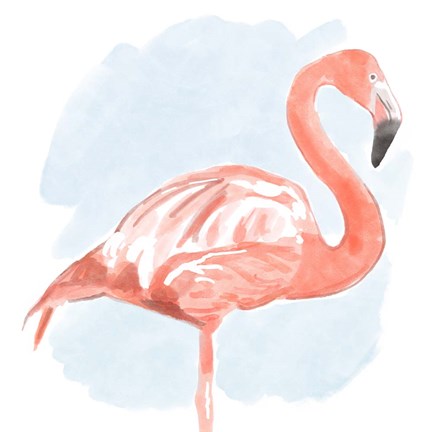 Framed Tropical Flamingo II Print