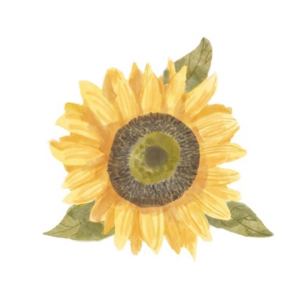 Framed Single Sunflower I Print