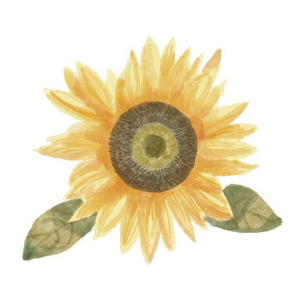 Framed Single Sunflower II Print