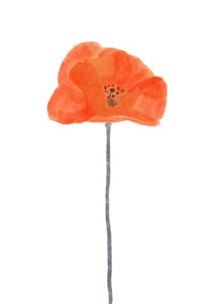 Framed Solo Poppy Red II Print