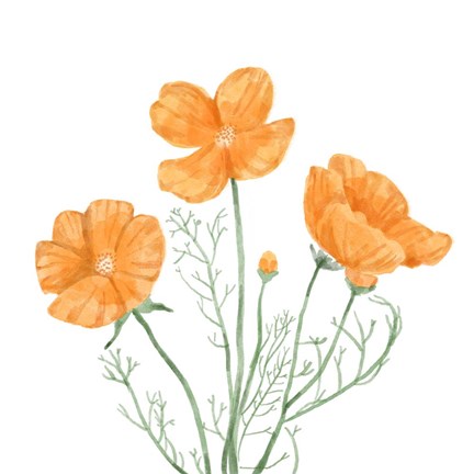 Framed Wildflower Group III Print