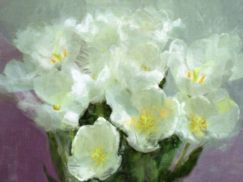 Framed Sunlit Tulips Print