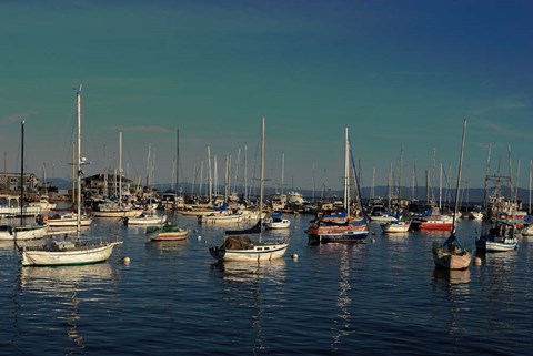 Framed At Rest Print