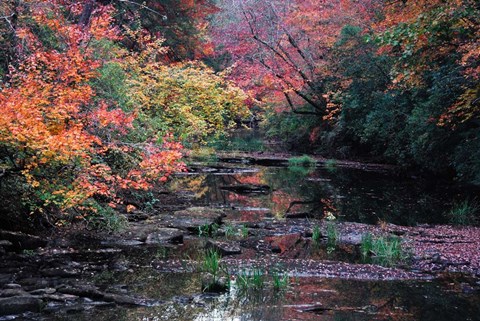 Framed Fall Creek Print