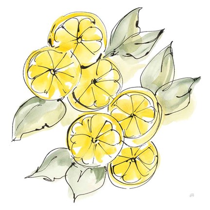 Framed Cut Lemons II Print