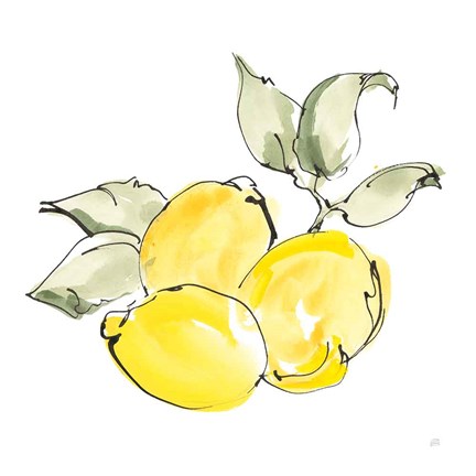 Framed Lemons II Print