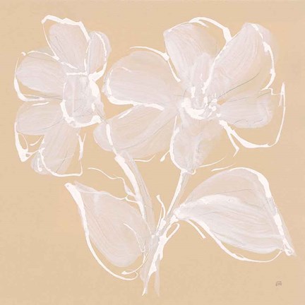 Framed Poppy II Print