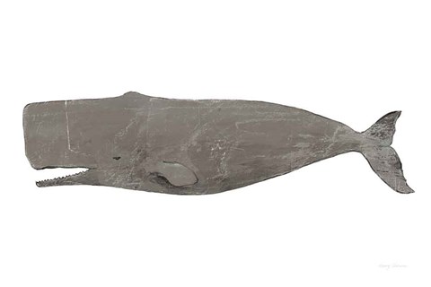 Framed Whale on White Print