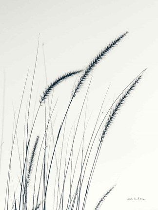 Framed Field Grasses III Print