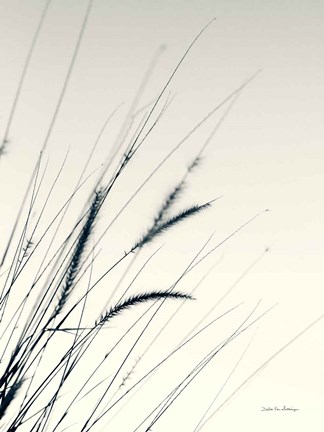 Framed Field Grasses I Print