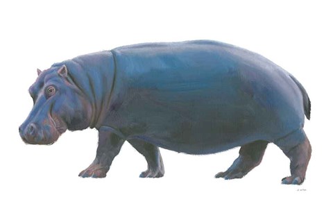 Framed Wild and Free IV Print