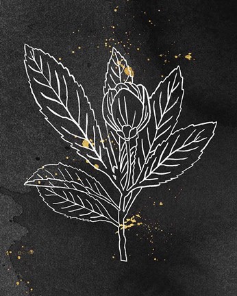 Framed Indigo Blooms IV Black Print