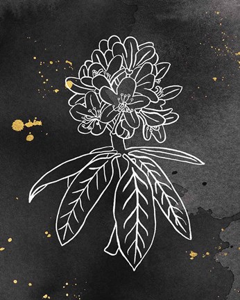 Framed Indigo Blooms II Black Print