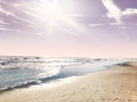Framed Great Beach Day Print