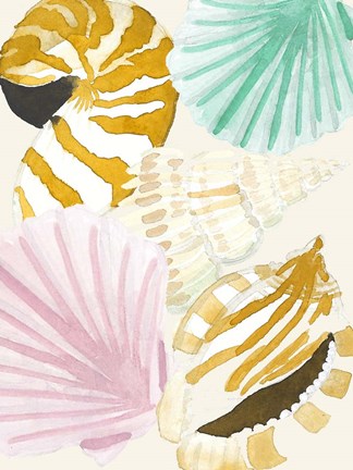 Framed Seashell Collage Print