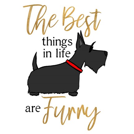 Framed Puppy Positive IV Print