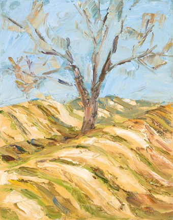 Framed During Winter Print