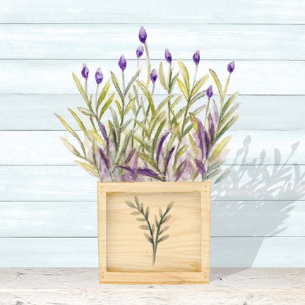 Framed Lavender and Wood Square II Print