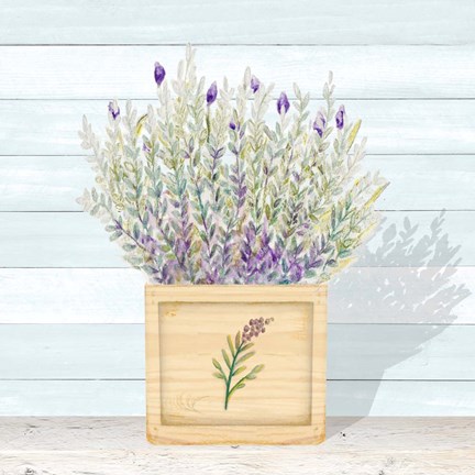 Framed Lavender and Wood Square III Print