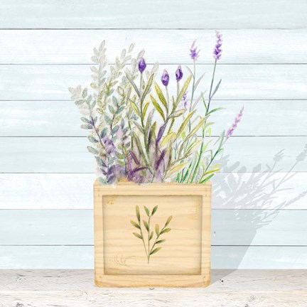 Framed Lavender and Wood Square IV Print