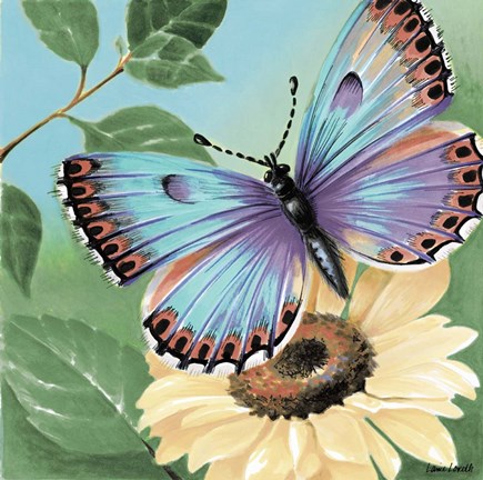 Framed Butterfly Flowers II Print