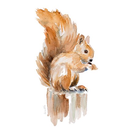 Framed Watercolor Squirrel Print