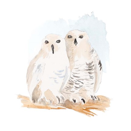Framed Watercolor Snowy Owls Print