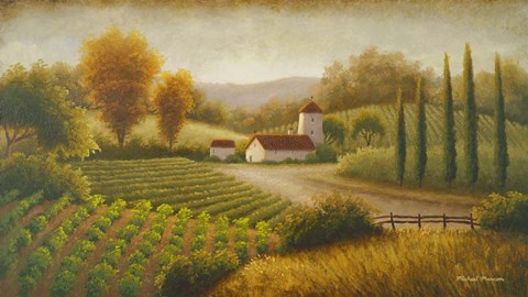 Framed Vineyard In The Sun II Print