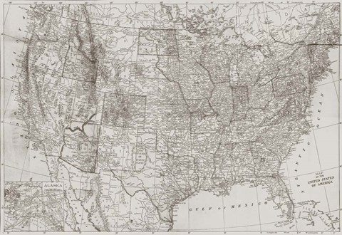 Framed Natural US Map Print