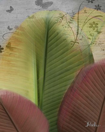 Framed Butterfly Palm I Print