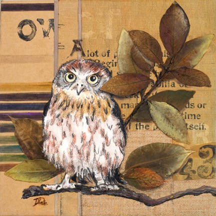 Framed Little Owls I Print
